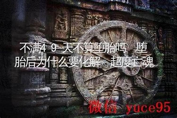 49天内堕胎是轻罪