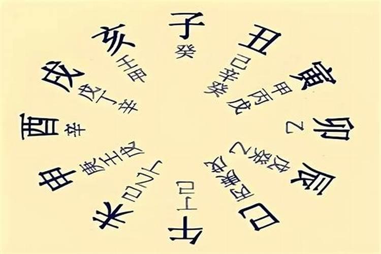 八字看婚姻以地支还是藏干为主？
