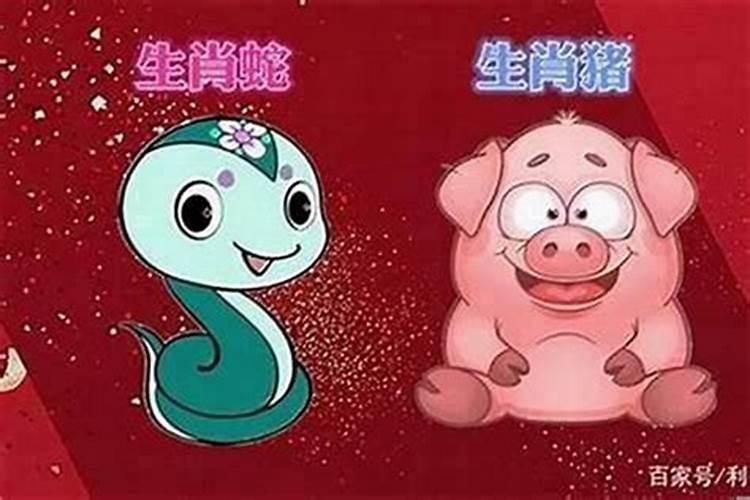 男属蛇女属猪合婚吗？