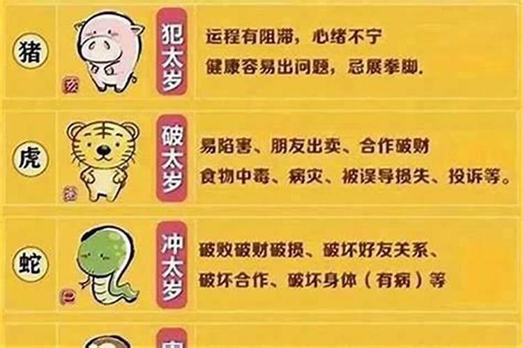 关于犯太岁的新闻