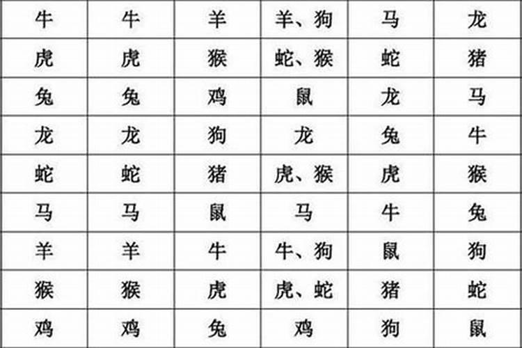 属鼠的犯太岁是什么属相？