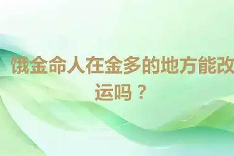 饿金命在2026年的运势