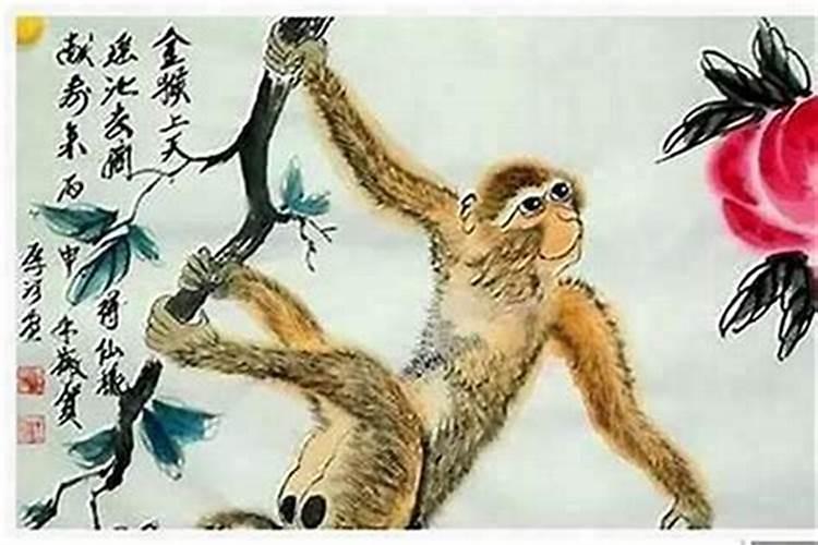 兔子和猴子八字不合