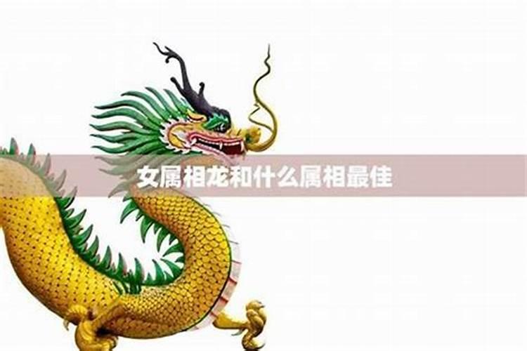 男属龙找什么属相最合婚？