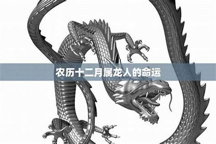 属龙阴历十二月二十六运势如何？