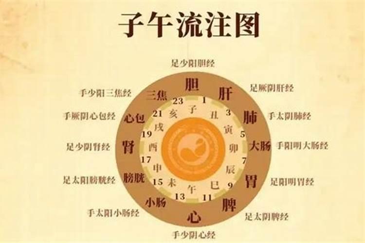 子午冲是什么意思？