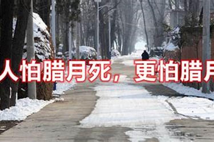 人死在腊月的禁忌