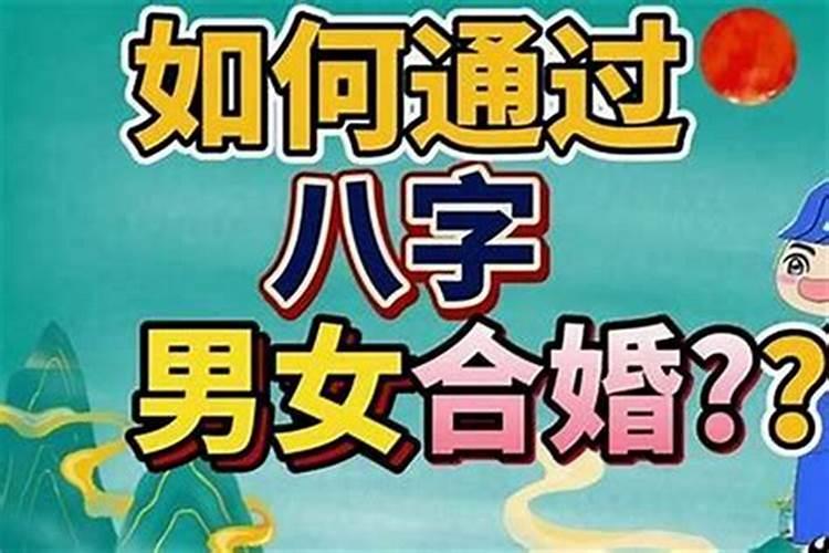 八字合婚智云测算
