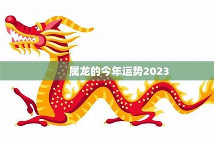 属龙的今年12月运势最详细