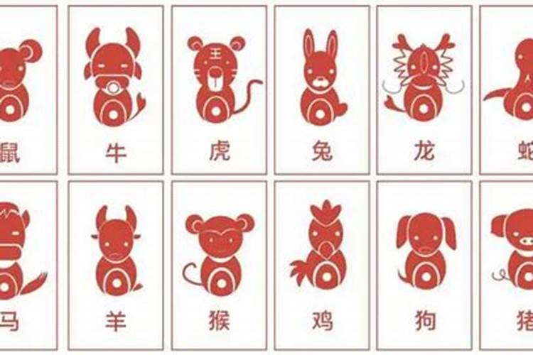 是什么生肖落后了？