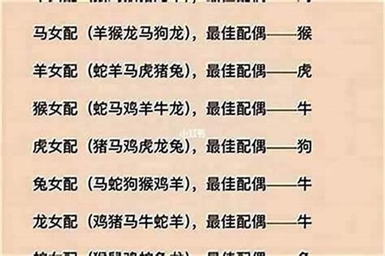 男主与女鼠属相婚配好吗？