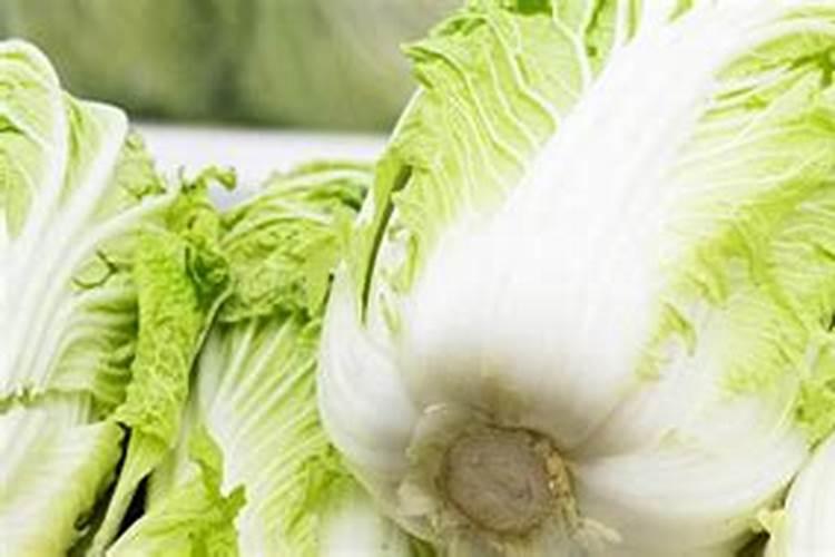 梦见烂白菜是什么预兆？