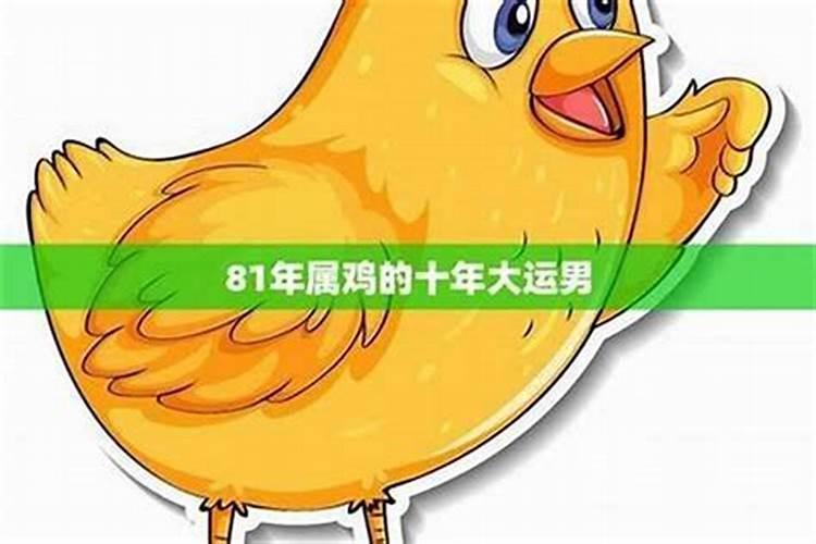 81年的鸡人整体运势如何？