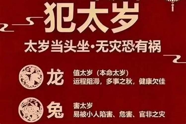 狗年蛇生肖犯太岁吗？