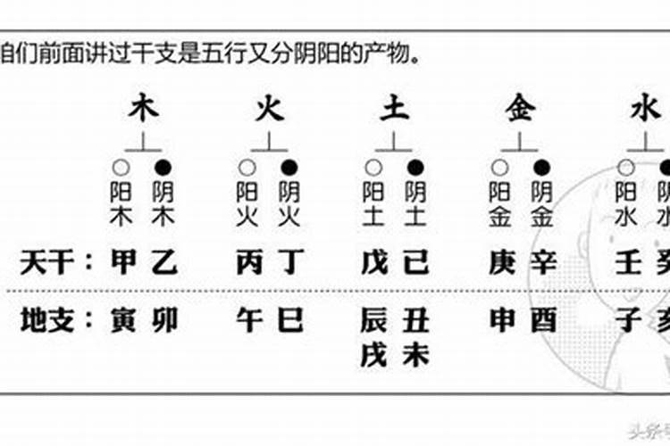 戊木和丙火合婚好吗？