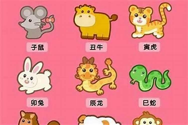 属猪人今年如何化解太岁？