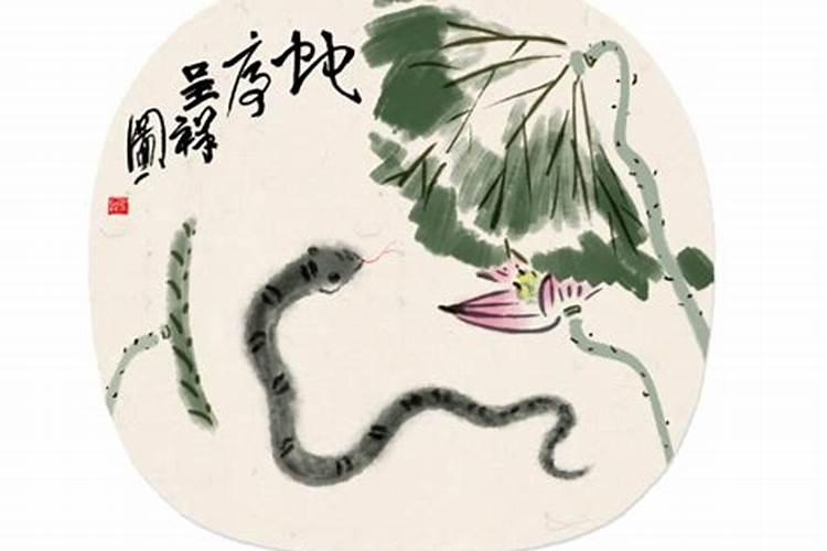 冬至月出生的蛇