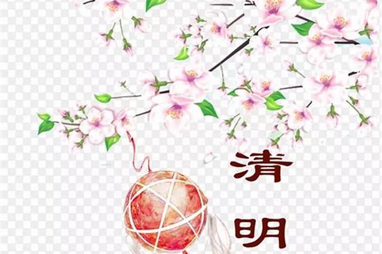 清明樱花祭原唱谐音