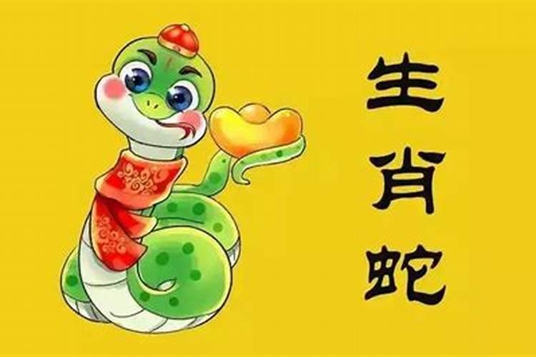 属蛇的人哪年运势好？