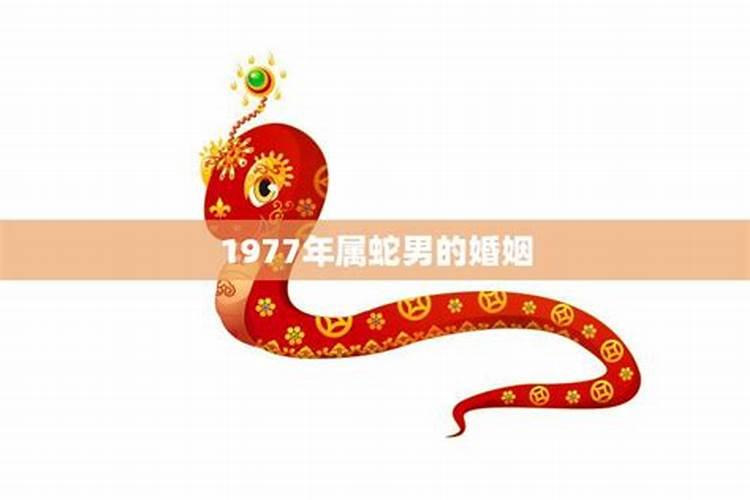 1977年属蛇运程和婚姻如何？