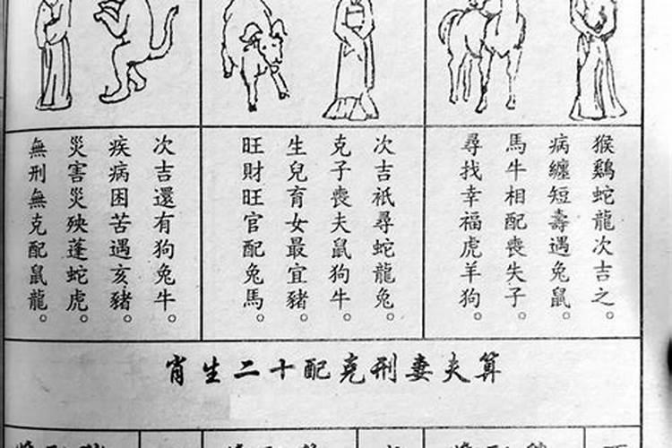 鼠与狗属相婚配如何化解？