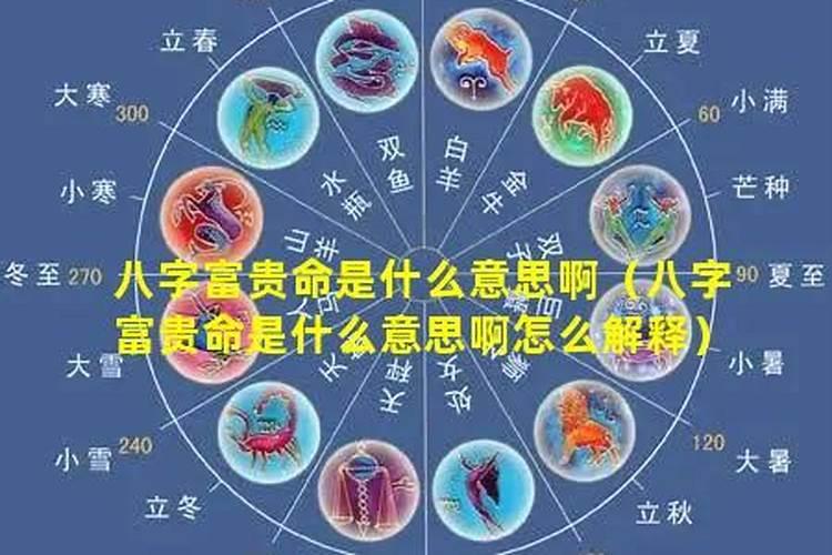 八字不合富贵命是什么生肖动物？