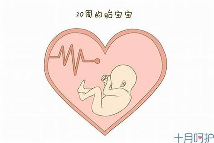 堕胎超度需要带什么？