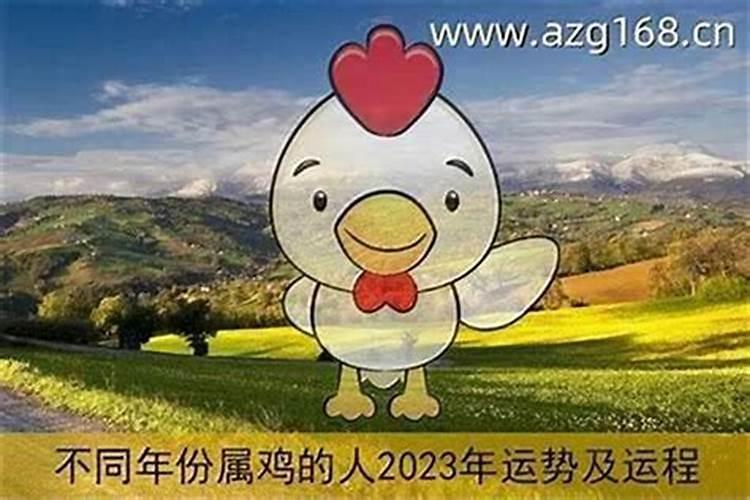 1981女鸡2026年运势如何？
