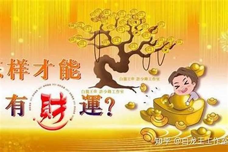 风水怎样提升财运？