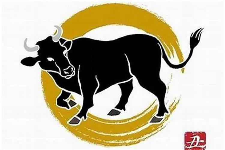 太岁怎么吃效果最好？