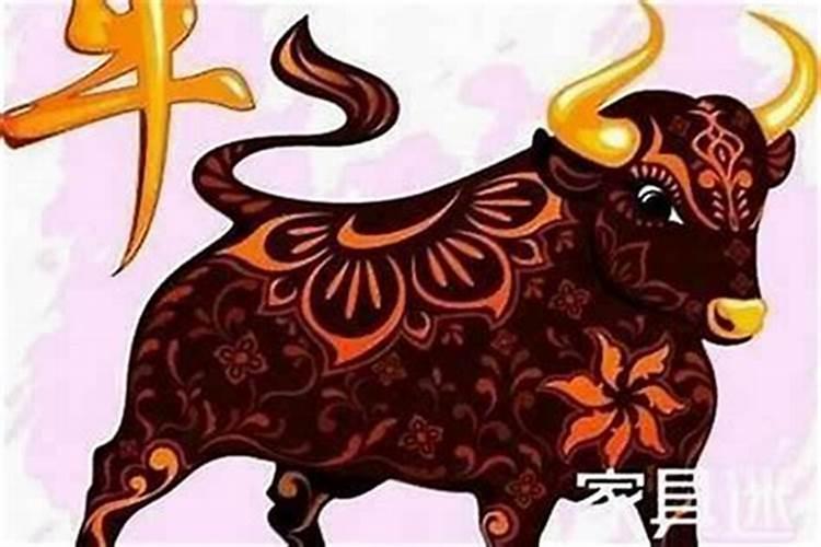 生肖属牛2026年的运势详解