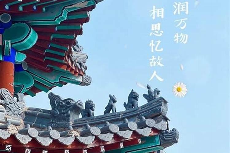 祭祖是清明还是冬至？