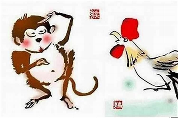 狗与牛鼠属相婚配好吗？