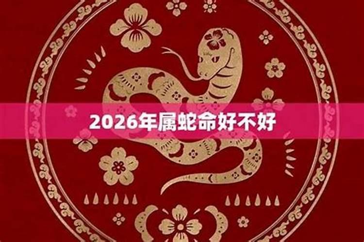 1965属蛇人2026年运势如何？
