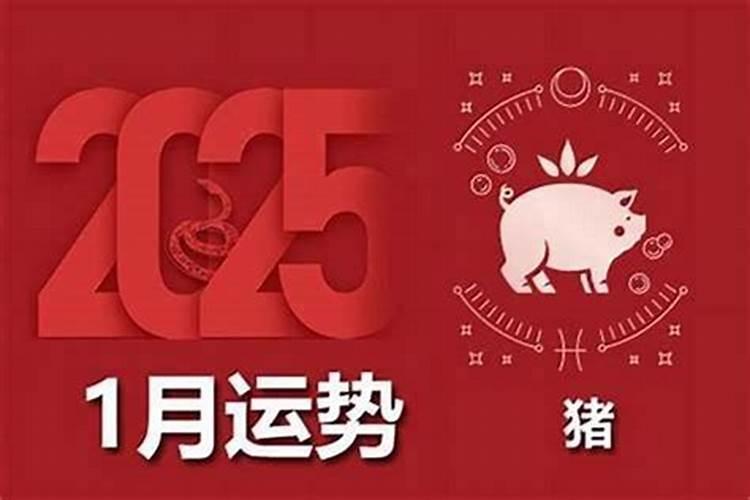 1978年属猪人2026年运势