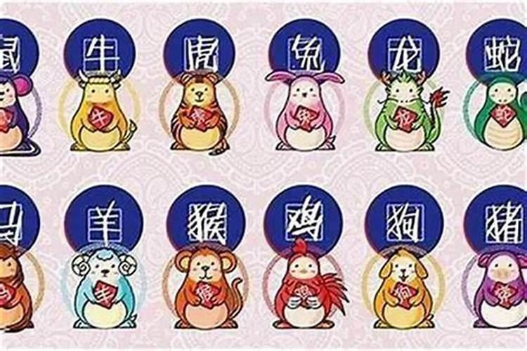12生肖今年运气运势