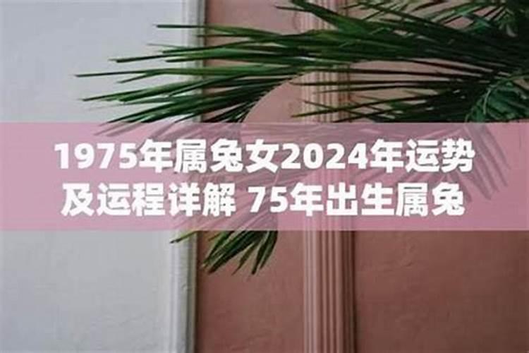 1975属兔女2026年运势及运程