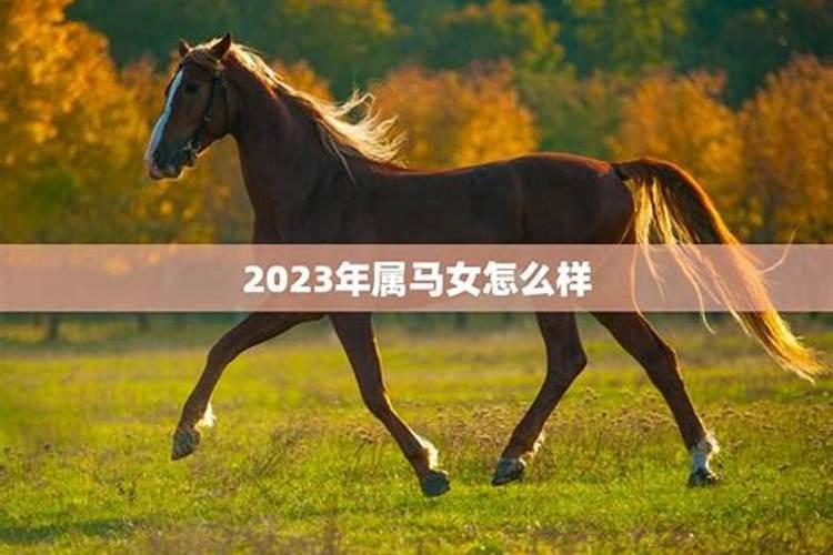 属马女五月运势怎么样？
