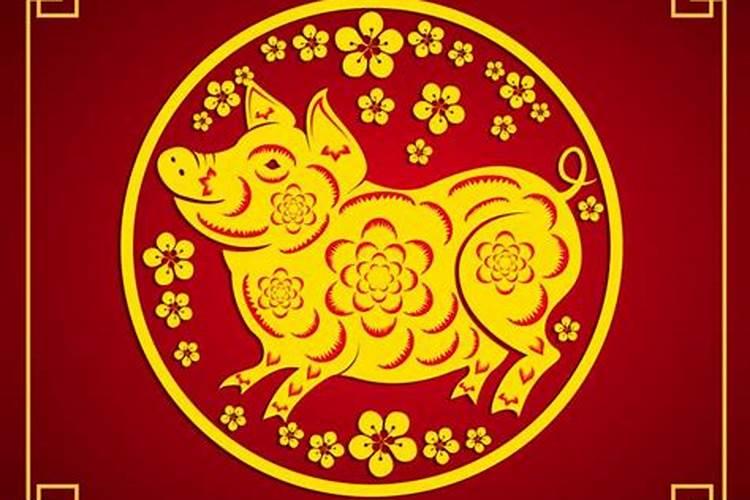 属猪的人今年运势如何？