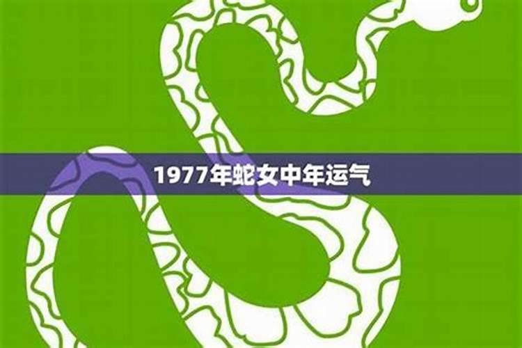 1977年属猴蛇人2026年运势