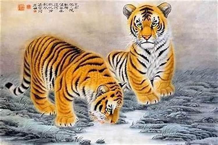 生肖虎下半年添丁运势