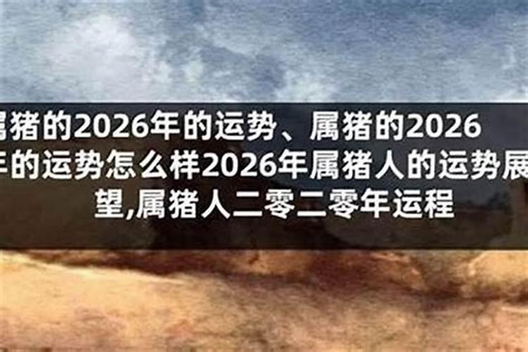 猪年属猴的女士运势怎么样？