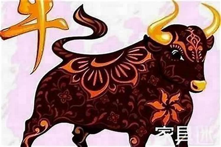 牛年本命年注意什么？