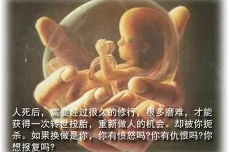 一位妈妈写给堕胎婴灵的信