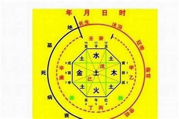 八字里枭食是什么意思？