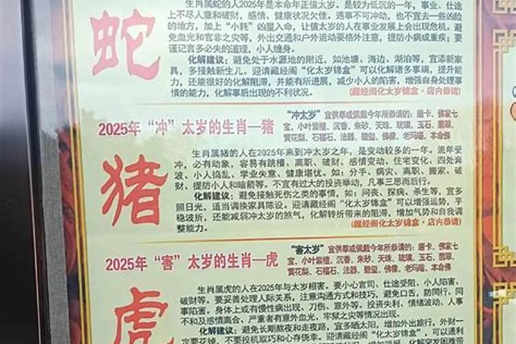 属蛇冲太岁几月会好？