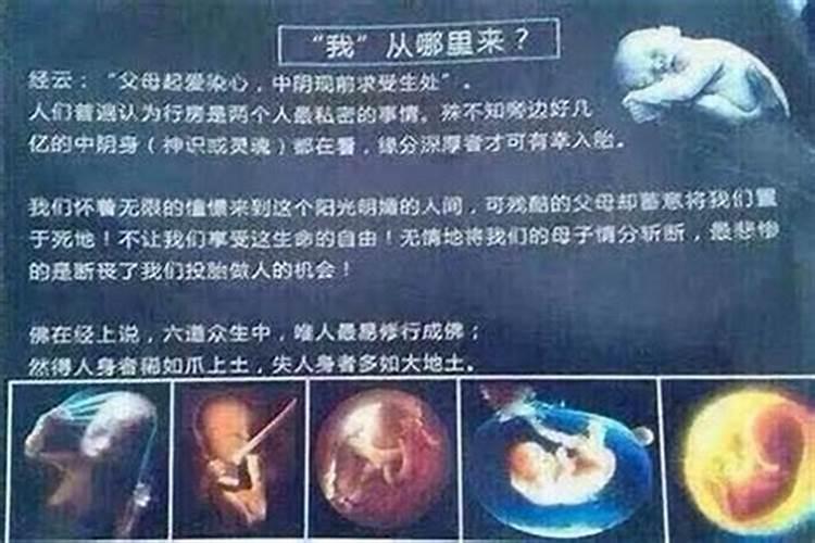 堕胎流产怎么超度？