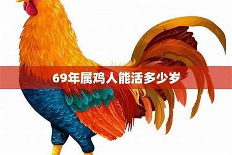 属鸡人69年出生运势如何？