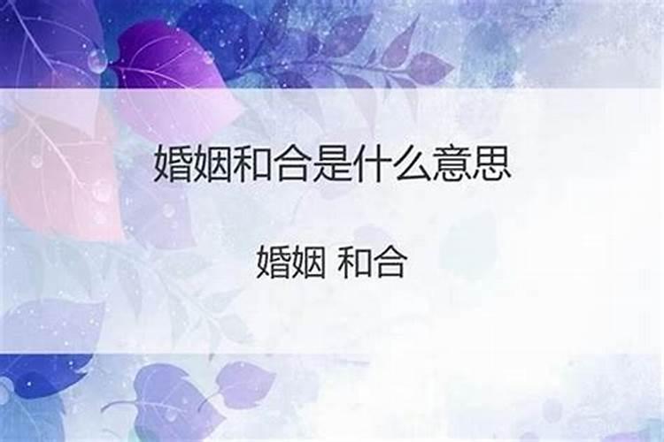 婚姻和合且得佳丽什么意思？