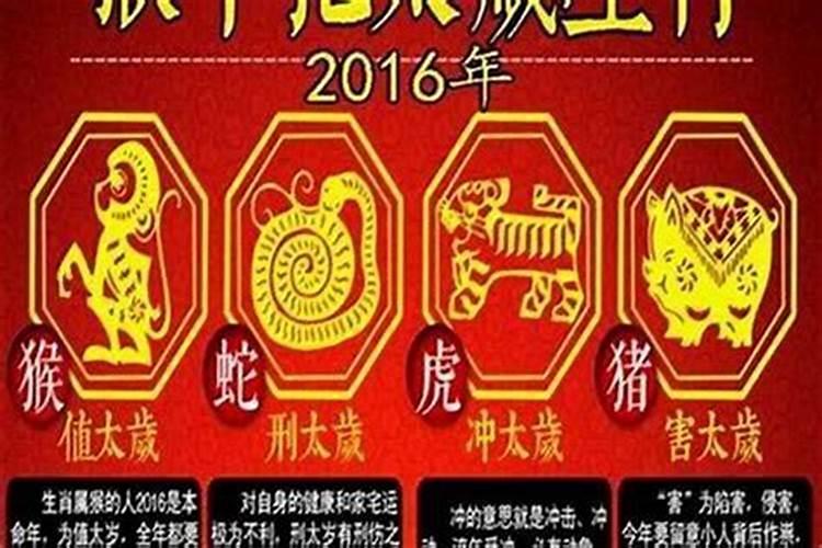 犯太岁适合做什么？